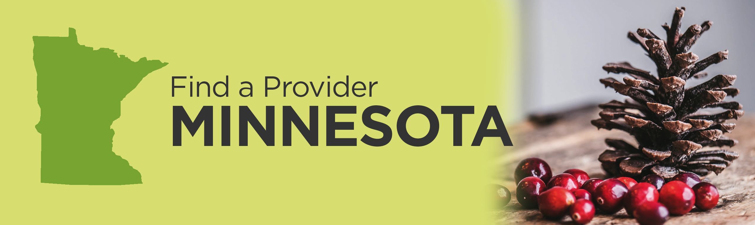 Minnesota_Banner